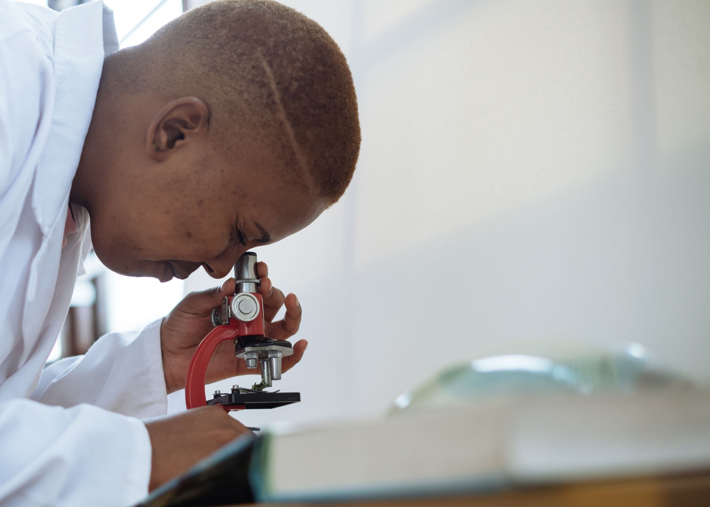 A laboratory scientist examining a sample
